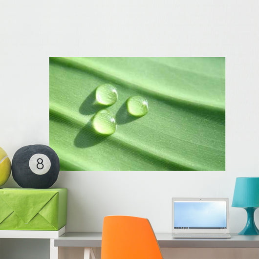 Wasserperlen Wall Decal