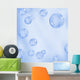 Soap Bubbles