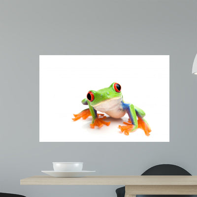 Frog Closeup White Wall Decal shown on a wall