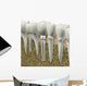 Dental Implant Wall Decal