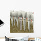 Dental Implant Wall Decal