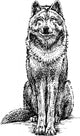 Black and White Sitting Wolf Sketch Wall Decal