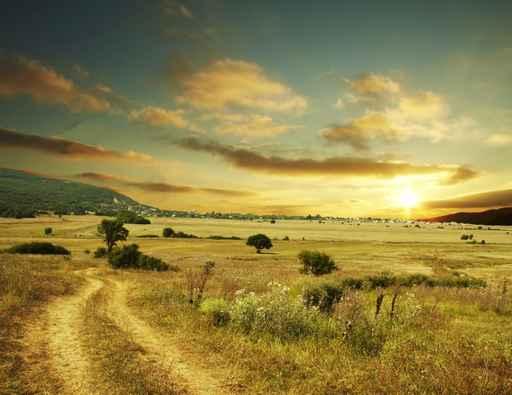 Rural Sunset Wall Decal