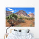 Southwest Desert Landscape