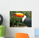 Toucan Wall Mural