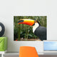 Toucan Wall Mural