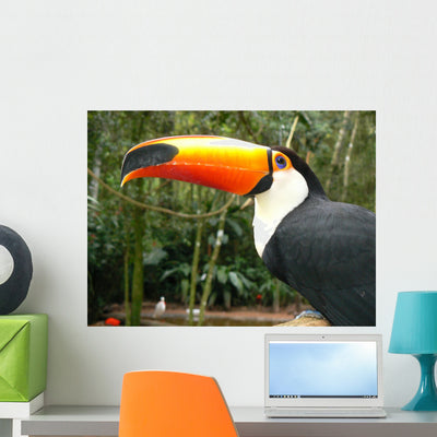 Toucan Wall Mural shown on a wall