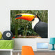 Toucan Wall Mural
