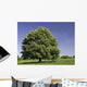 Bl Hender Kastanienbaum Wall Decal