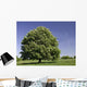 Bl Hender Kastanienbaum Wall Decal