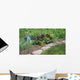Pond Wall Decal