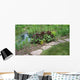Pond Wall Decal