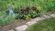 Pond Wall Decal