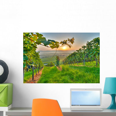 Vine Vineyard shown on a wall
