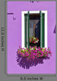 Flower Pots Window Burano