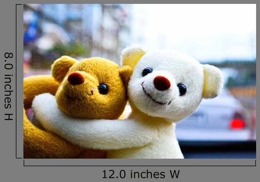 Teddy Bear