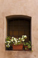 Flower Pots Window Burano