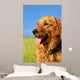 Golden Retriever Dog Portrait Wall Mural