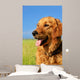 Golden Retriever Dog Portrait Wall Mural