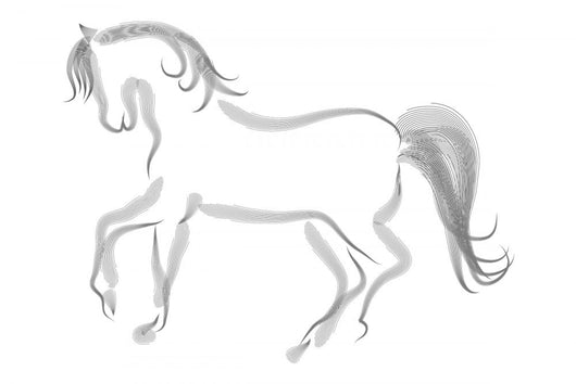 Caballo 00000000 Wall Mural