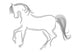 Caballo 00000000 Wall Mural