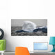 Antarctic Fountain Wall Decal