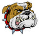 Mean bulldog mascot illustration Wall Decal
