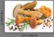 Spices Mushrooms