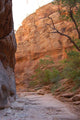 Zion Canyon Wall Mural