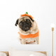 Pumpkin Pug Wall Decal