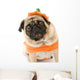 Pumpkin Pug Wall Decal