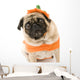 Pumpkin Pug Wall Decal