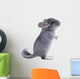 Gray Ebonite Chinchilla White
