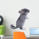Gray Ebonite Chinchilla White