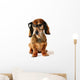 Smart dog. Wall Decal