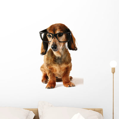 Smart Dog Wall Decal shown on a wall