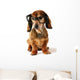 Smart dog. Wall Decal