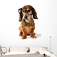 Smart dog. Wall Decal