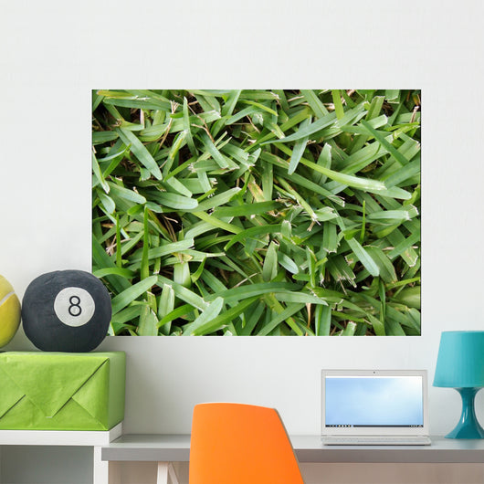 Grass Wall Mural