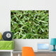 Grass Wall Mural