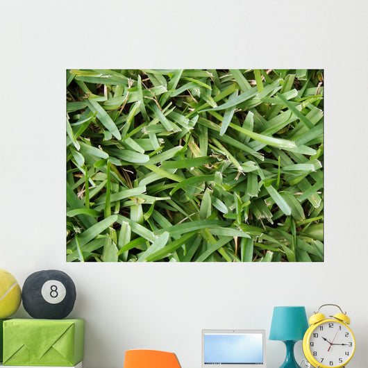 Grass Wall Mural