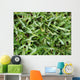 Grass Wall Mural