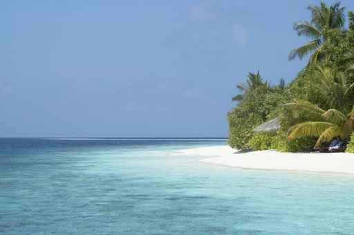 Tropical Resort Island Beach Wall Decal