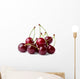 Ripe cherries Wall Decal