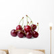 Ripe cherries Wall Decal