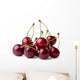Ripe cherries Wall Decal