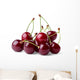 Ripe cherries Wall Decal