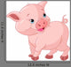 Little Baby Pig