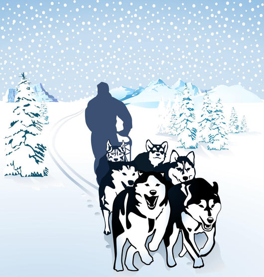 Huskies Wall Decal