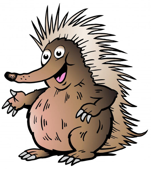 Hand-Drawn Vector Illustration of an Echidna Wall Decal